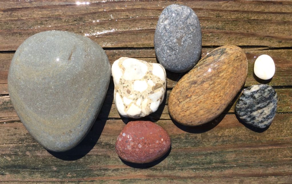 Assorted rocks wet