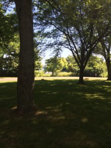 Cold Brook County Park