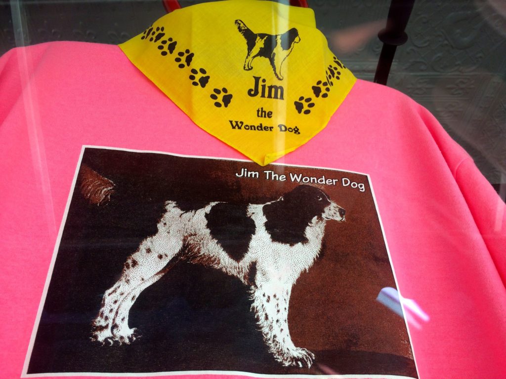 Jim the wonder Dog items for sale