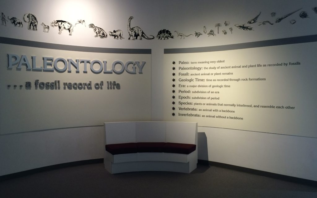 Paleontology with definitions