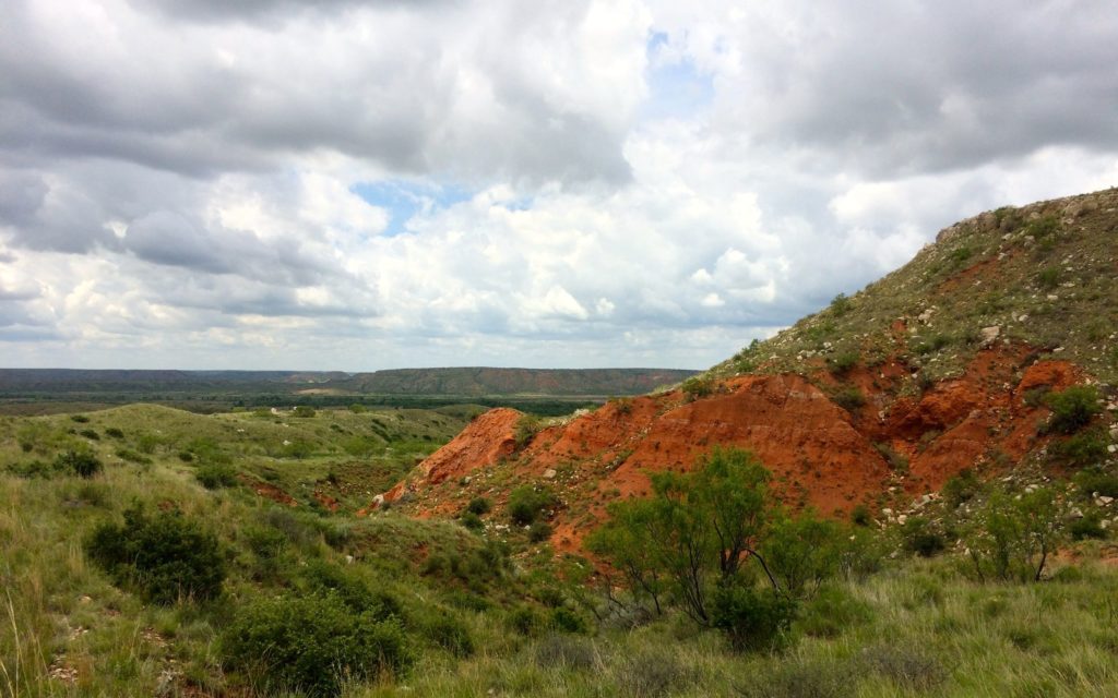 Red soil in an arroyo