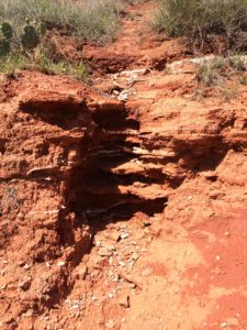 what are those white layers?