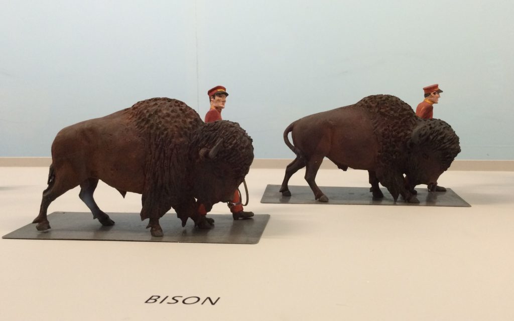 Buffalo - not bison
