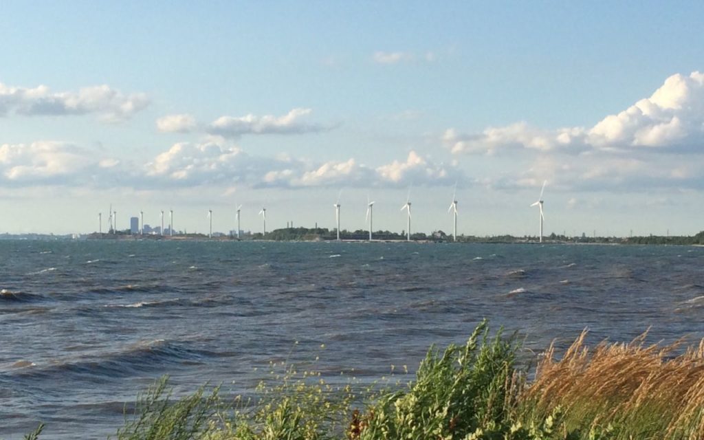 Buffalo skyline with windmills