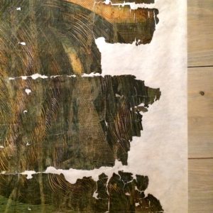 Hyena Striata detail