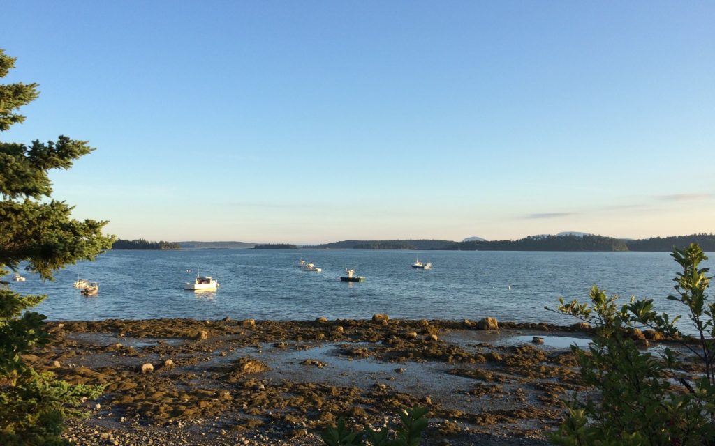 view-nearthe-camp-ground