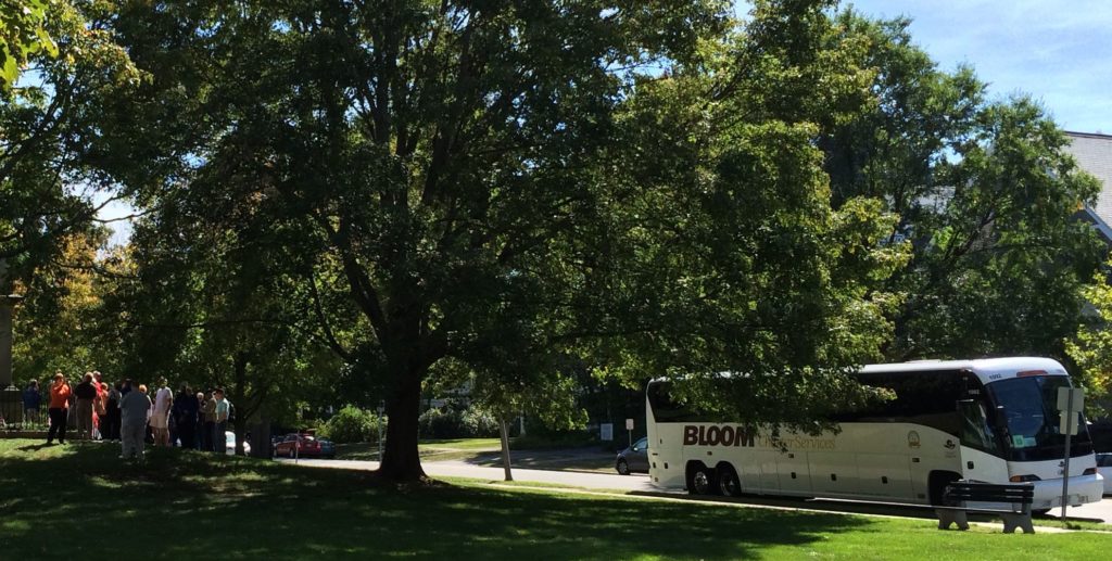 tourists-by-the-busload