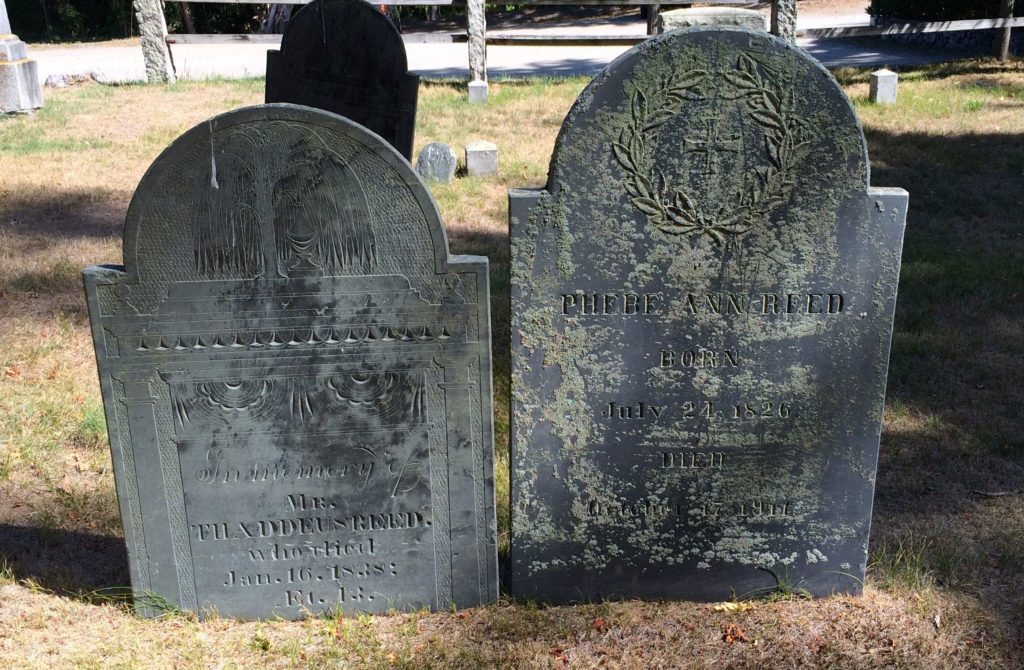 close-up-of-grave-stones