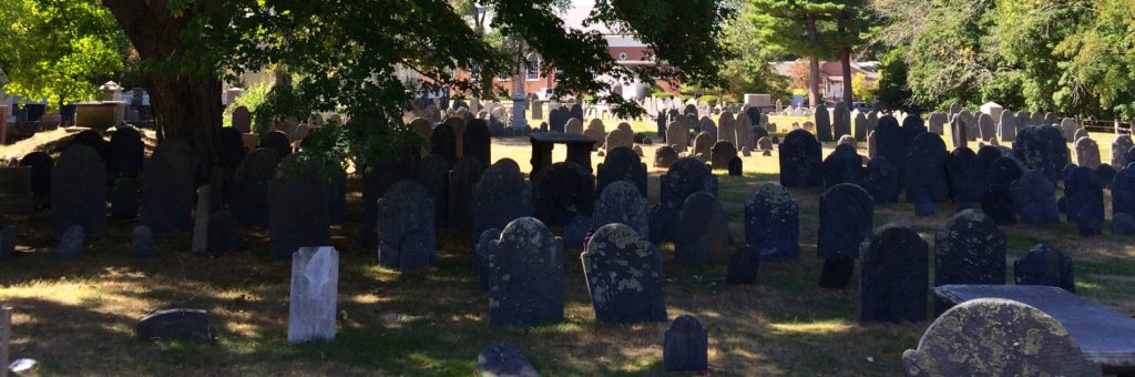 graveyard-narrow-view