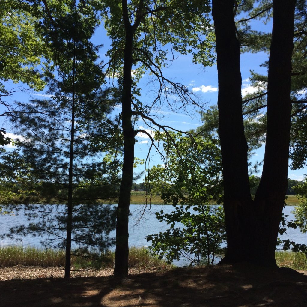 view-from-the-campsite