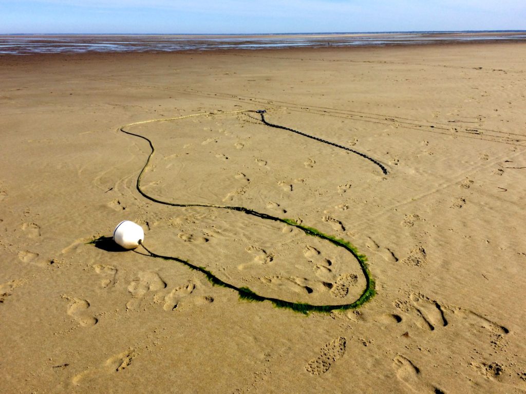line-with-with-thing-at-low-tide