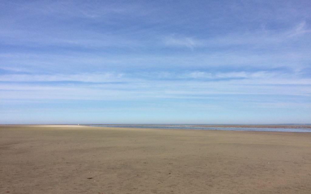 looking-out-toward-the-bay