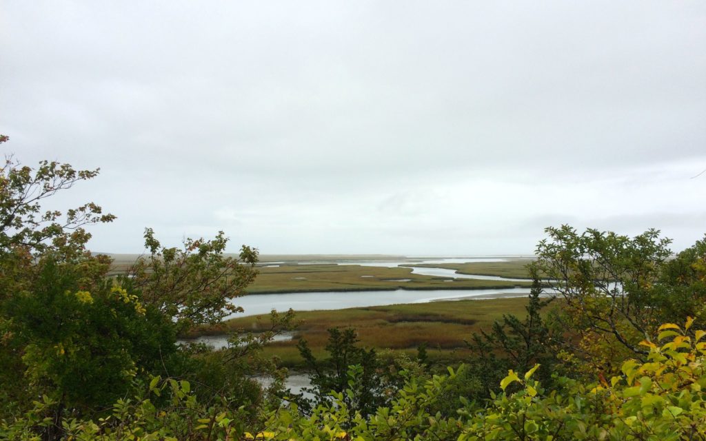 salt-marsh-view-from-indian-rock