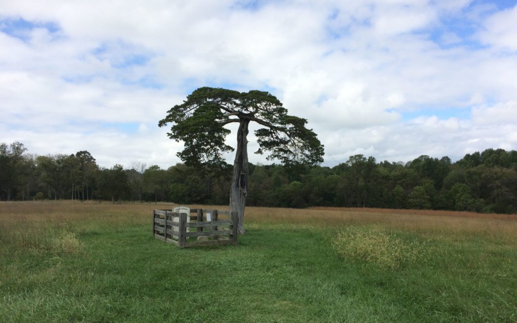 lafayette-meeks-grave