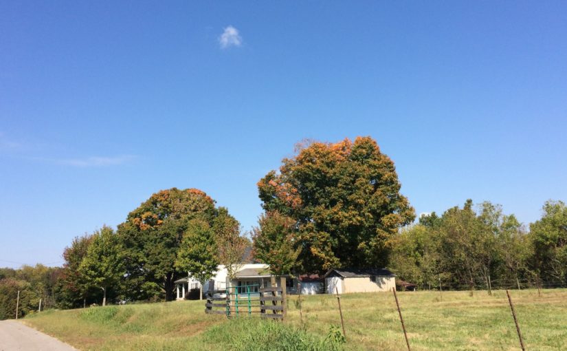 Battle of Tebbs Bend